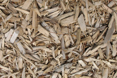 biomass boilers Tregullon